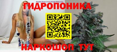 стафф Туймазы