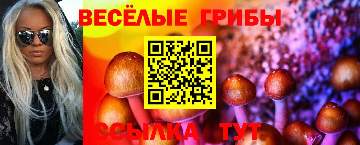 Галлюциногенные грибы Psilocybe Наро-Фоминск